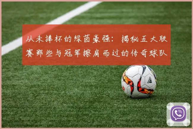从未捧杯的绿茵豪强：揭秘五大联赛那些与冠军擦肩而过的传奇球队